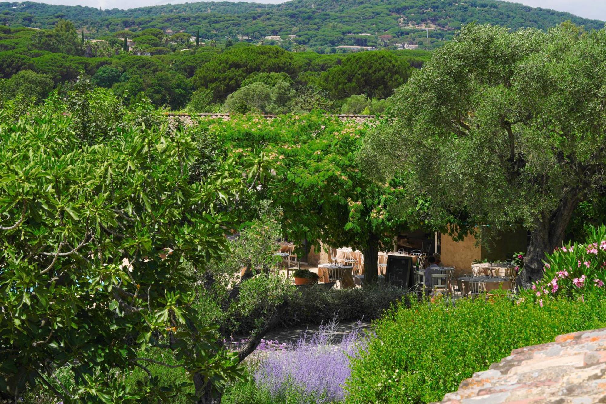 Hotel La Figuiere Ramatuelle Eksteriør bilde