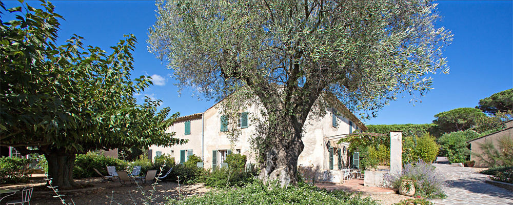 Hotel La Figuiere Ramatuelle Eksteriør bilde